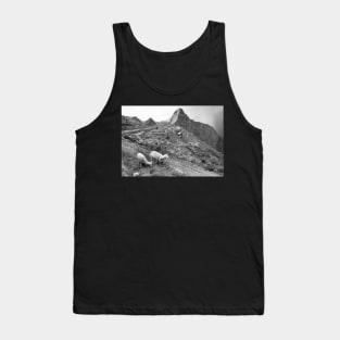 Vintage Llama at Machu Pichu Tank Top